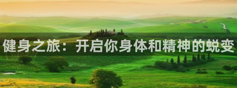 国际龙8hk