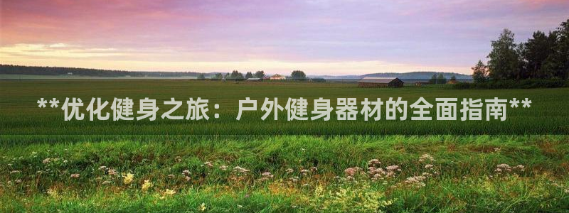 龙8国际的漏洞