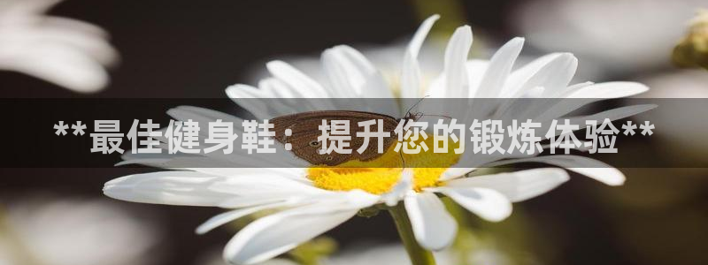 龙8国际手机官网下载