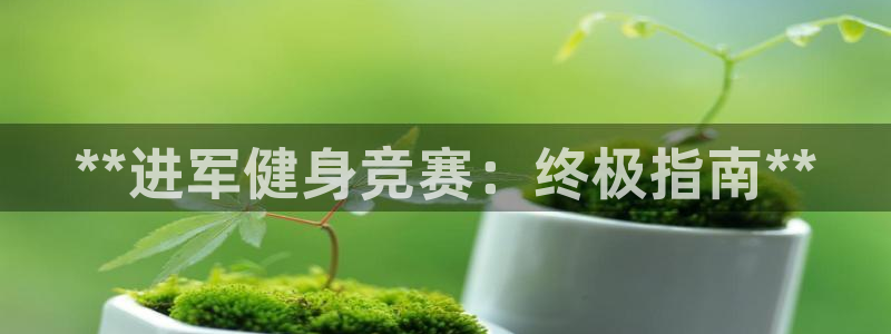 龙八国际pt