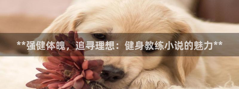龙8国际2020官方网站