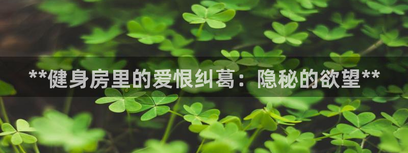 龙8国际是什么平台