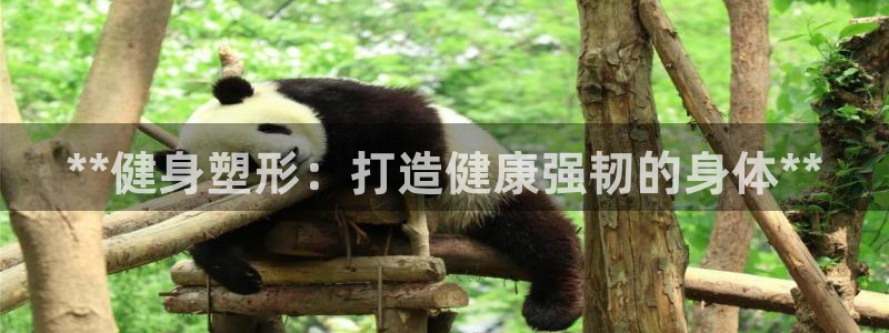 龙8游戏官方网站登录