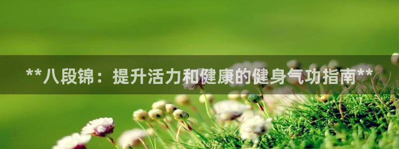 龙8app 国际