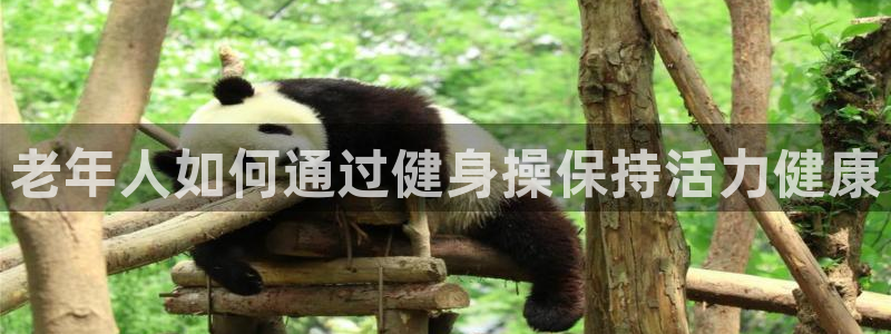 龙八国际娱乐老板是谁