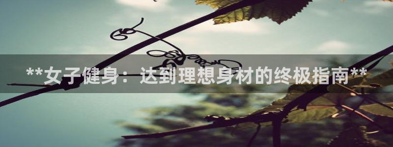 龙八国际网页登录