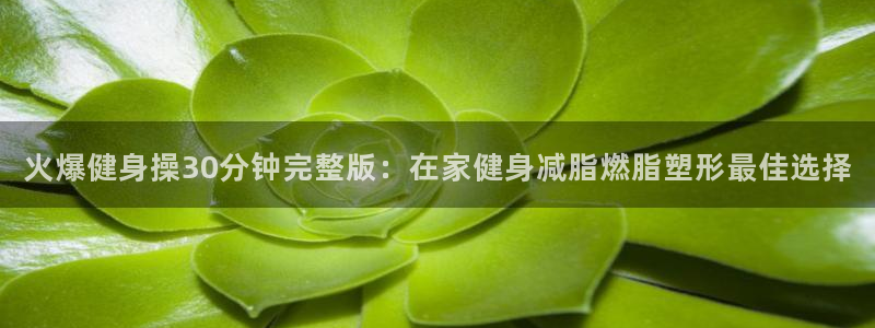 龙8国际真钱