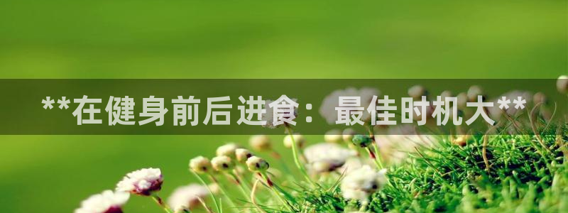 国际龙8hk