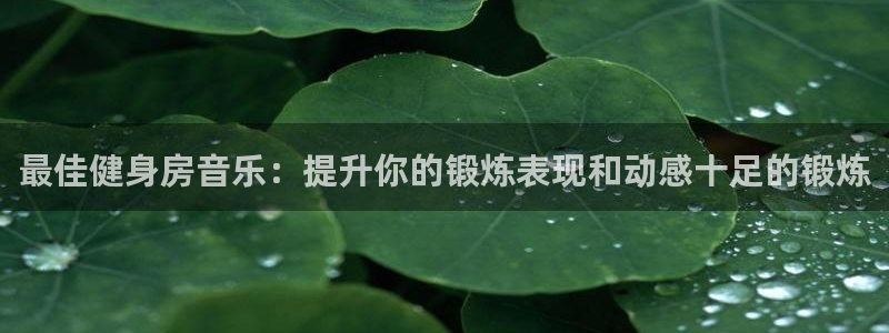龙8国际平台