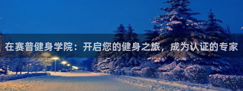 龙八国际pt