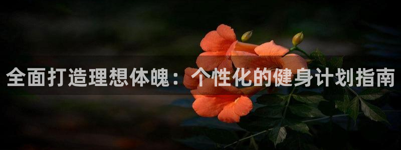 龙8国际2020官方网站