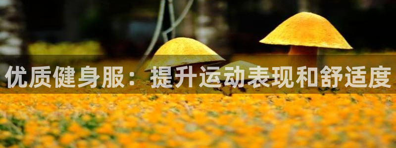 龙8国际官方网站