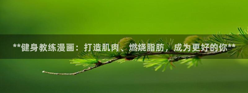 龙8国际long8