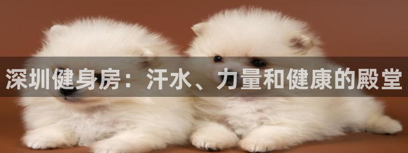 龙8国际真钱