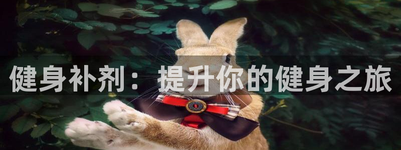 龙8国际安卓官方版fxzls-1.2.1 -安卓