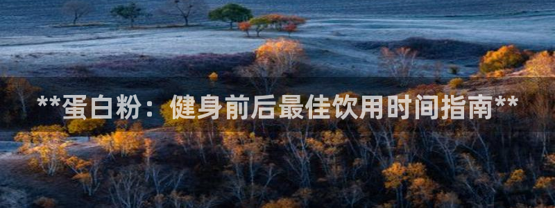 龙 八国际