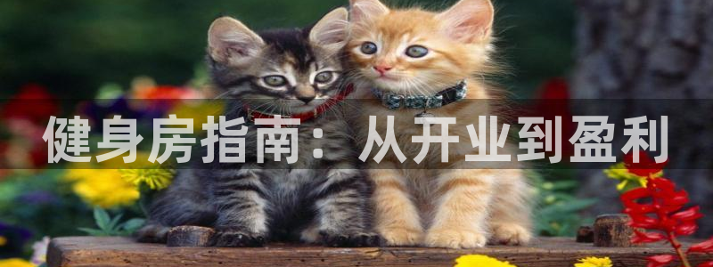 龙八国际2018最新官网