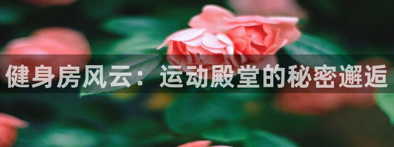 龙八国际app客户下载
