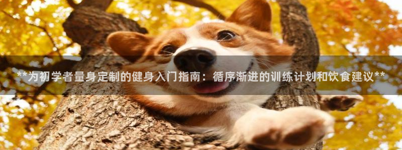 龙8游戏官方进入