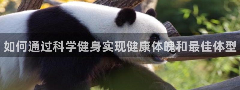 龙8国际登录网址推荐ag87253