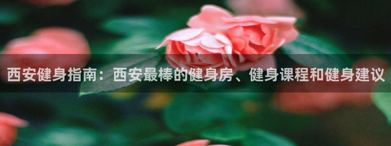 龙8国际app官网下载