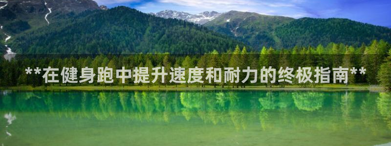 龙八国际pt