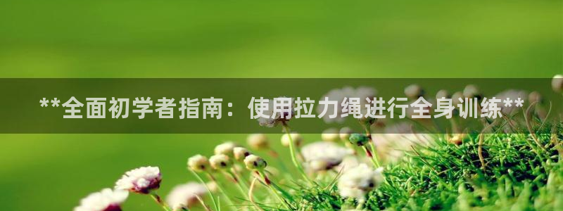 龙8国际游戏公司官网