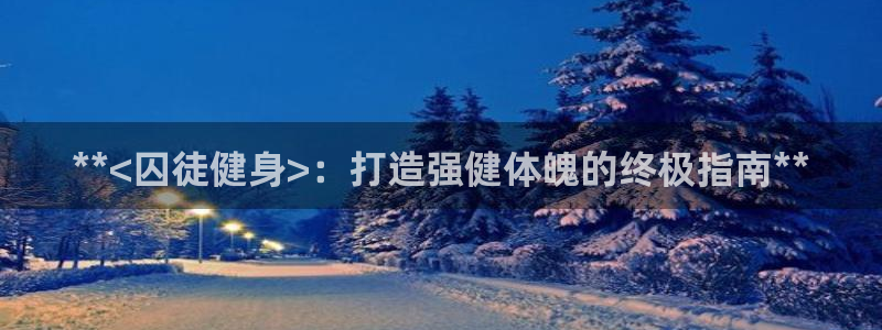 龙8国际版