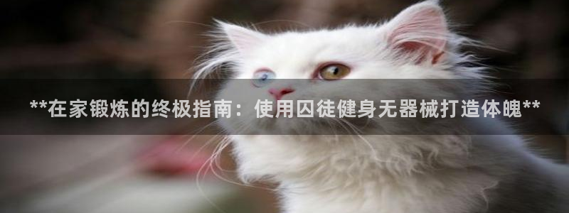龙8国际备用