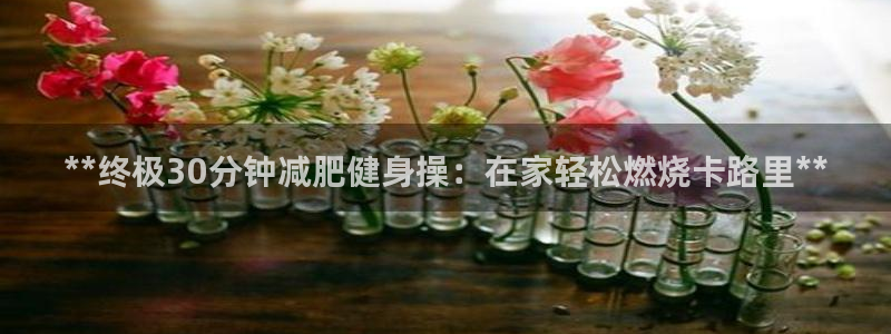 龙8官网手机登入口