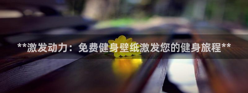 龙8国际线上
