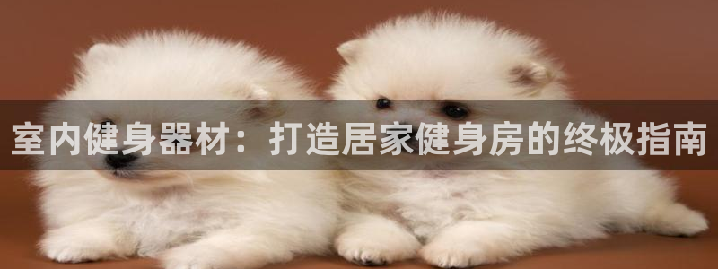 龙8国际网页登陆