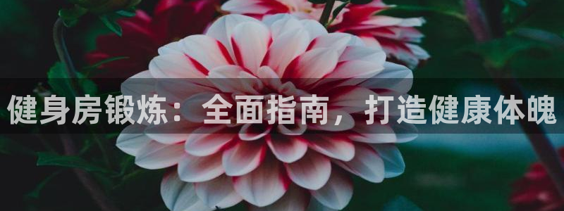 龙8国际官网 点此进入