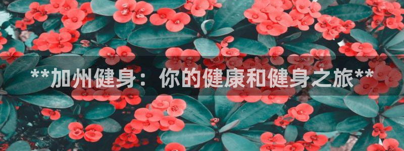 龙8国际手机登