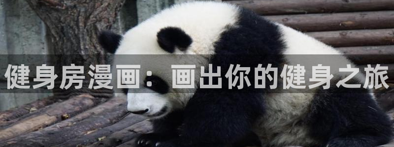 龙八国际登录密码