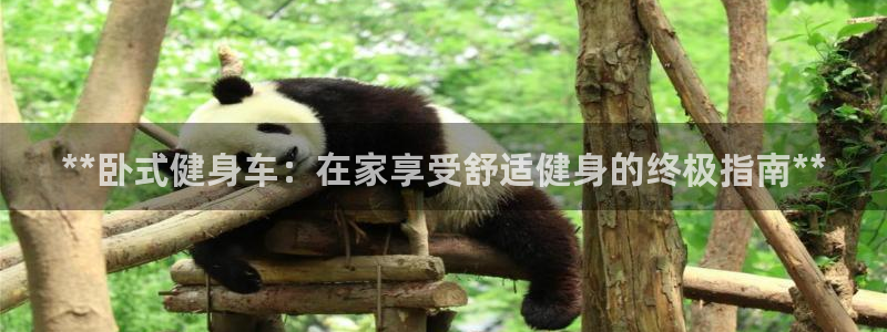 龙8国际官方网页