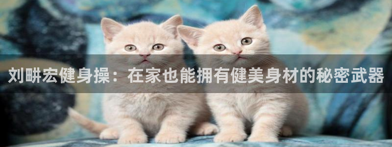 龙8娱乐国际城