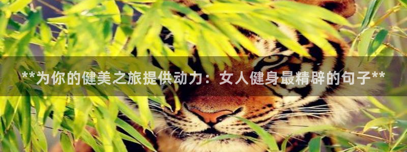 龙8国际app下载客户端