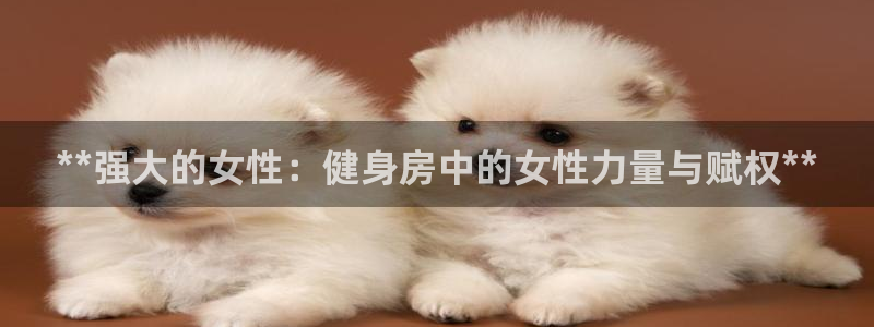 龙8唯一官网
