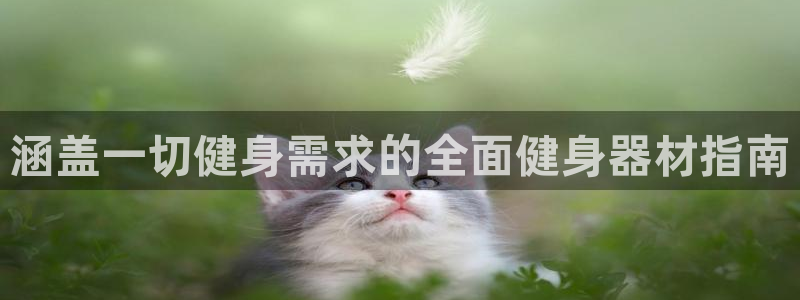 龙8国际网站怎么样