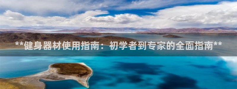 龙8app 国际