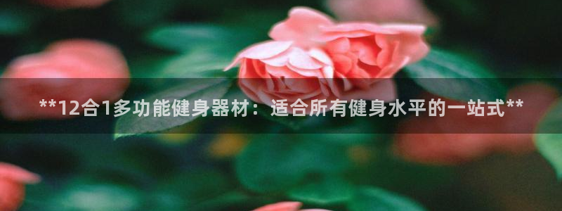 龙8国际官网-手机点此进入