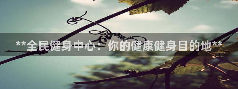 龙8国际游戏娱乐