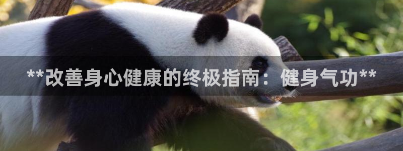 龙8国际官方网站手机版