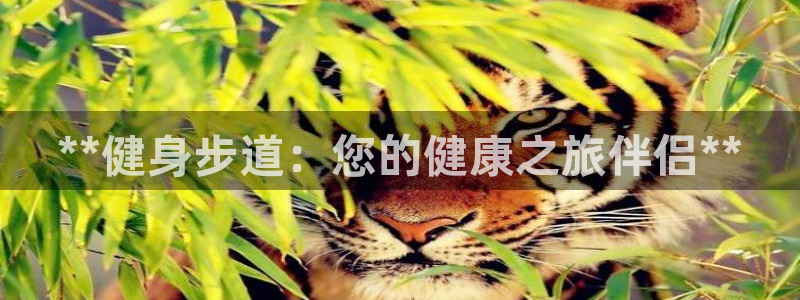 龙8国际官网多少