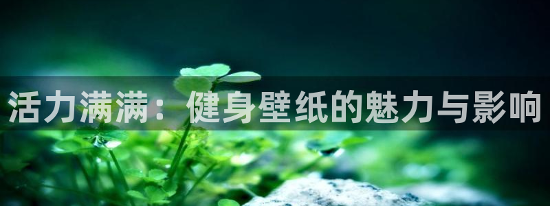 龙8国际的漏洞