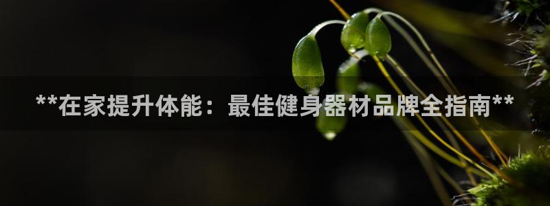 龙8国际老虎机娱乐