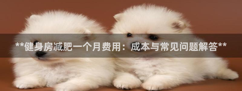 龙8国际电玩城