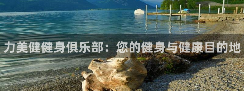 龙8国际官网手机登录