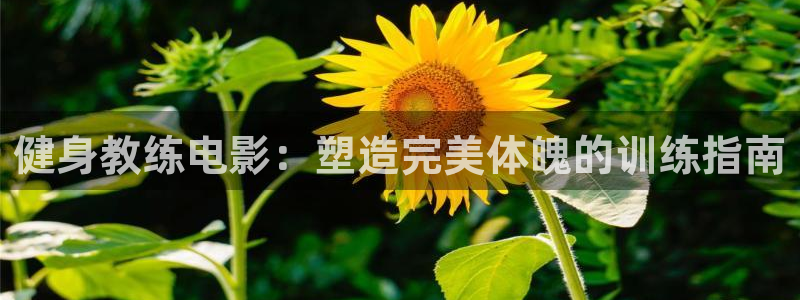 龙8国际com